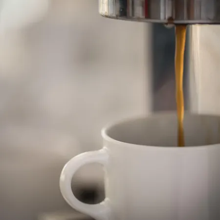 Hotel Halkidiki Palace Polychrono