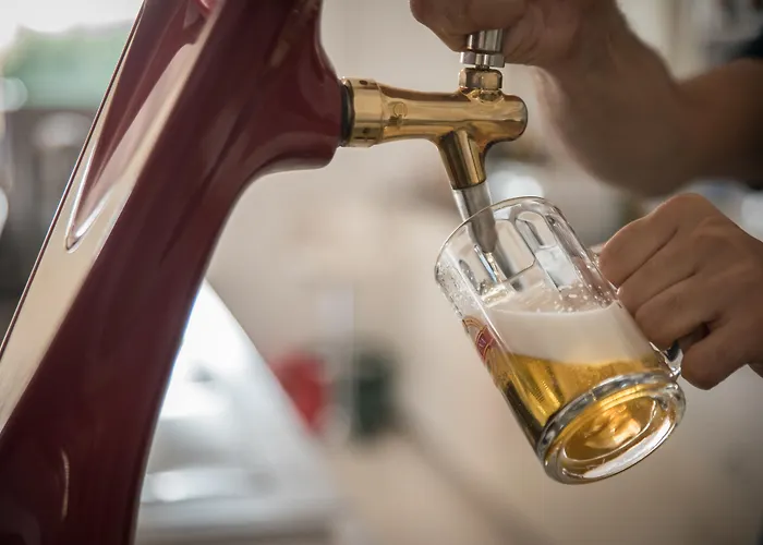 Halkidiki Palace 4* بوليخرونو