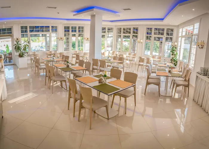 Halkidiki Palace فندق بوليخرونو