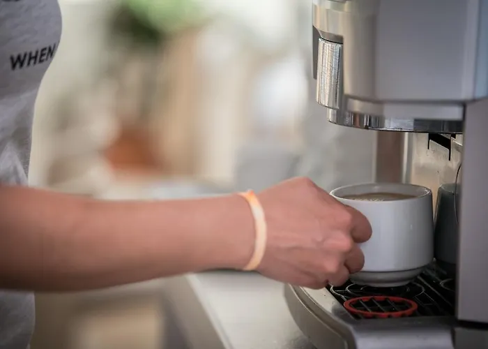 فندق Halkidiki Palace