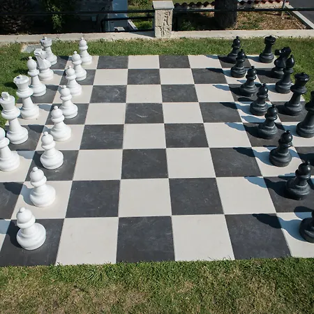 Halkidiki Palace 4* Πολύχρονο