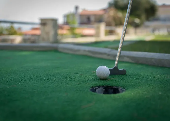 酒店 迪基宫殿酒店
